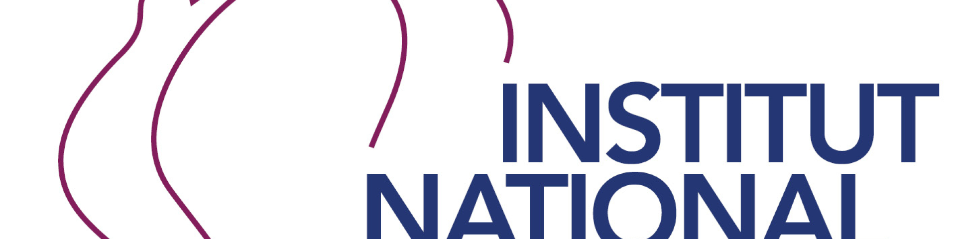 Logo INCA